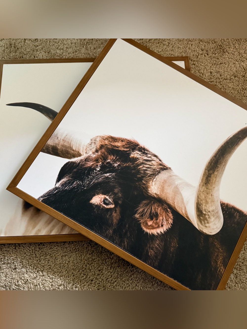 Hobby Lobby Rustic Cow Print in Brown and White (Two pictures)